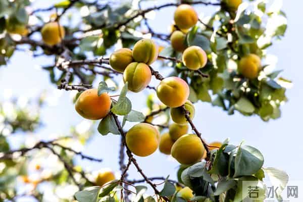 我工资15000全给母亲,老婆月薪8500却天天下馆子，我在家饿到发火