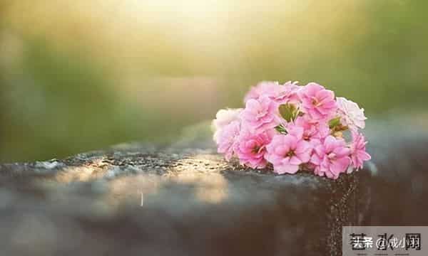 女子坚持嫁凤凰男，跟父母断绝关系，婚后父母用一招直接让她破防