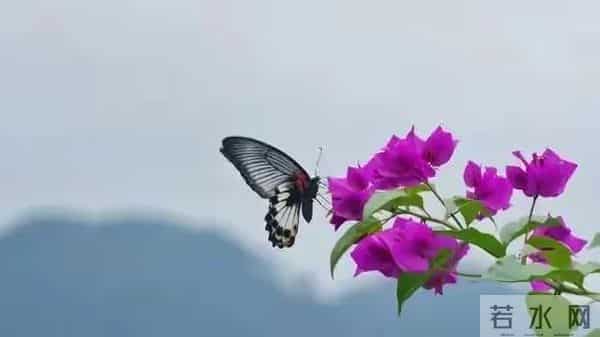 这段话抄下来，享用一生，永不过时，句句入心，直接抄了