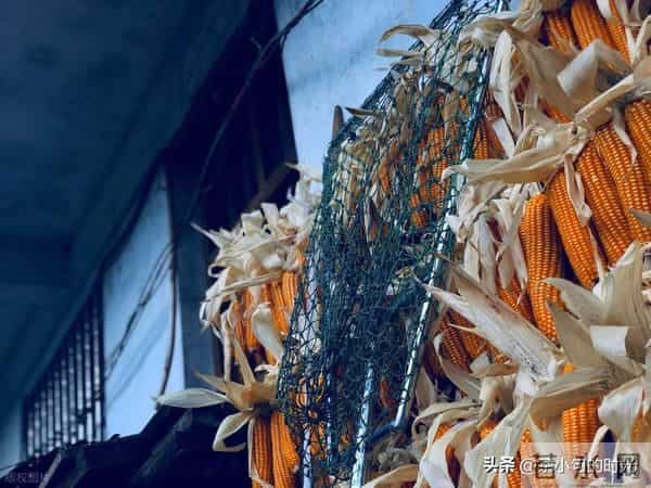 定亲当天，我多问了亲家一句，挽回了两个家庭的体面。