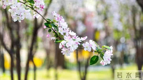 姑姐说我没把婆婆照顾好，退休亲自伺候婆婆，一周她说再也不管了