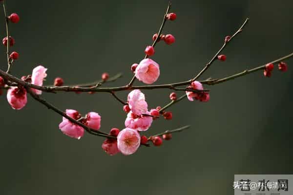 女人别冲动离婚：家在人在，别让一时意气毁了半生安稳