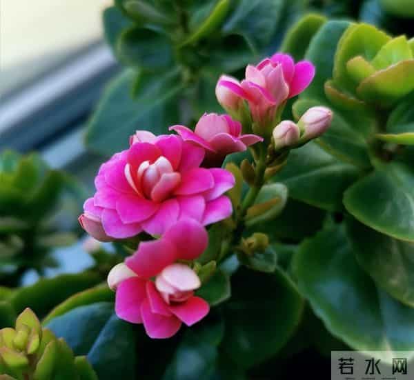 事实证明，女人想你了，会发出这样的信号