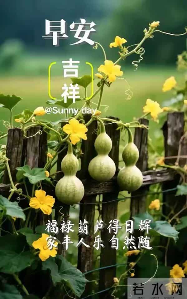 12月1日星期一早安祝福图片