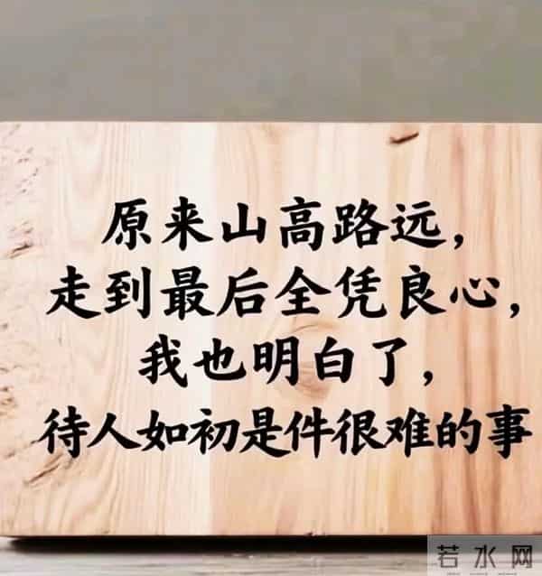 经典语录｜爱不会消失，只会转移