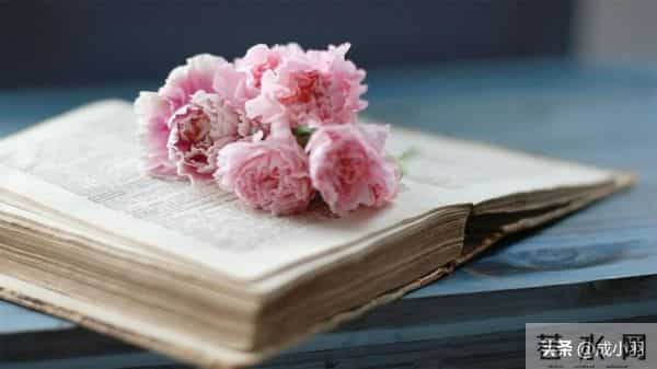 女子坚持嫁凤凰男，跟父母断绝关系，婚后父母用一招直接让她破防