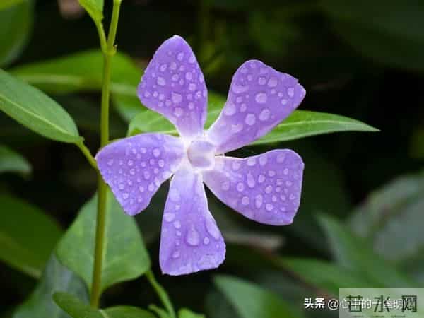 一句话让你一生不生气，做到了，你就是人生赢家！