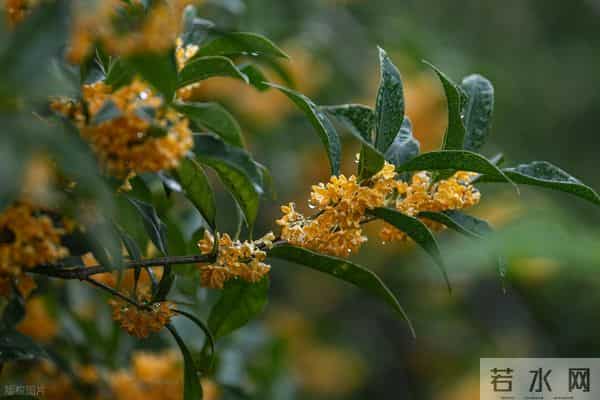 男人辜负你，你最好的回击是：做好一件事