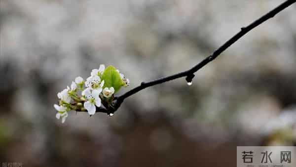 婆婆生日姑姐说座位不够，男人让儿媳别去，晚上才知儿媳离家走了