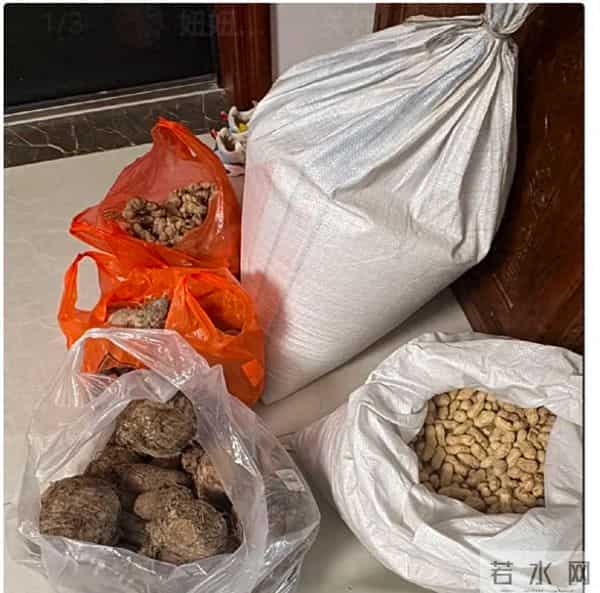 相亲男孩28岁无固定工作，却天天送花守单位，研究生女友陷入纠结