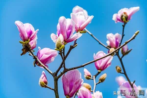 女人爱不爱你，看她会不会主动要钱，真的很准！