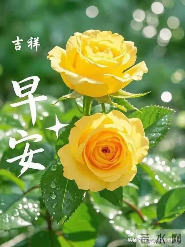 12月2日星期二早安祝福图片