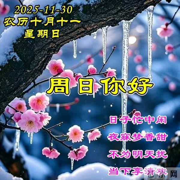 周日早安问候美图-生活如诗 岁月成画，所有美好皆能与你撞个满怀