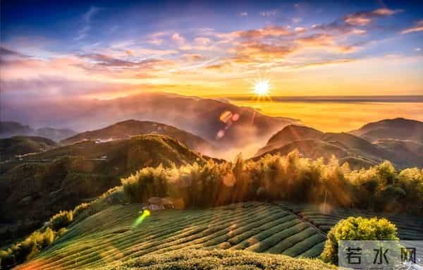 告诉你，允许一切发生，心便无所畏惧，活一天，便要开心一天。