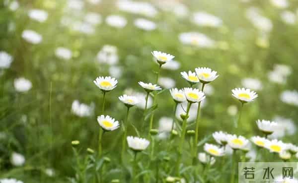 一个奇怪的现象：以前有困难，亲戚左邻右舍会帮你，现在很少帮了