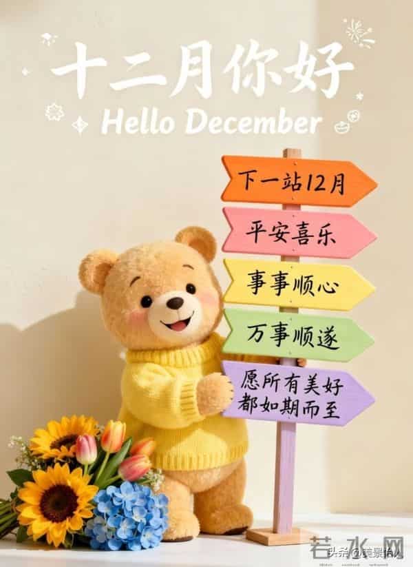 十二月你好，愿冬有暖阳，心有欢喜～