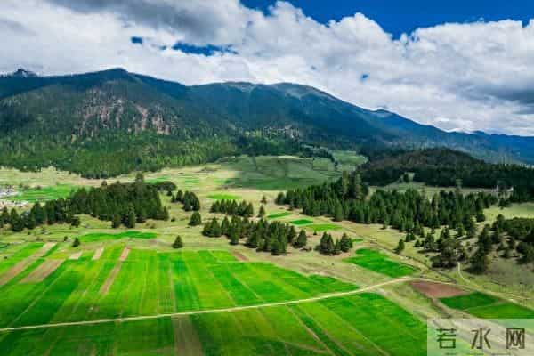 发现一个奇怪的现象：无论和谁打交道，适当的强势，你才会被尊重