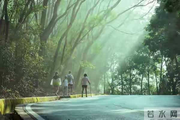 丧偶后娶了小姨子，洞房夜才知亡妻藏了半辈子的秘密