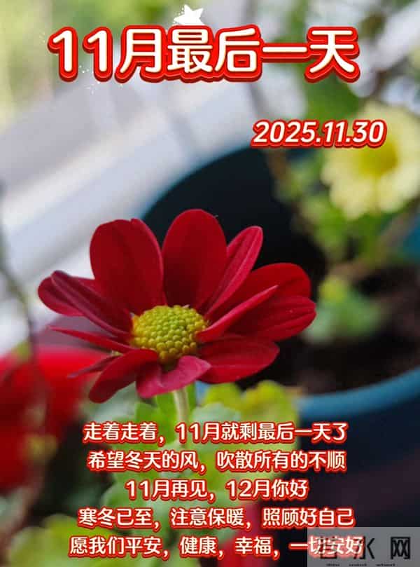 十一月再见十二月你好！