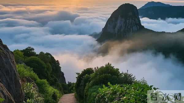 重度抑郁快速上岸，核心经验大公开