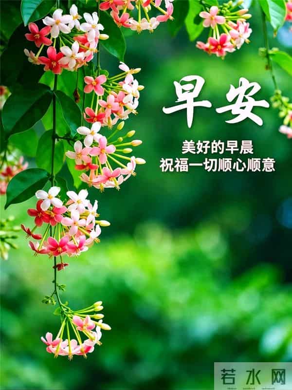 22句原创暖心祝福，冬日虽冷，祝福暖心，愿你安康常伴、事事顺意