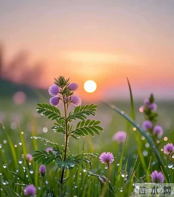 女人爱到憋不住，才会说这3句话（男人别傻听不懂）