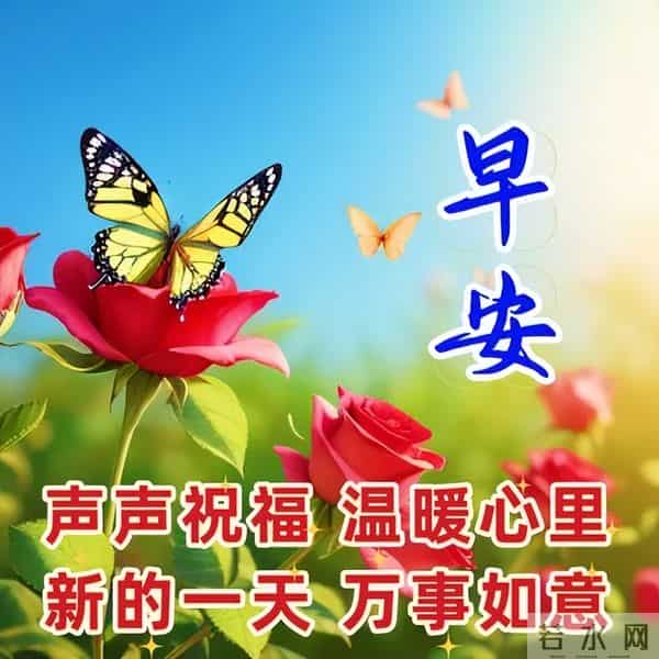 11月30日早安高质量文案，温暖早上好问候祝福，愿健康常伴