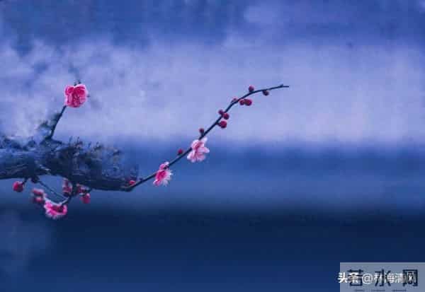 女人别冲动离婚：家在人在，别让一时意气毁了半生安稳