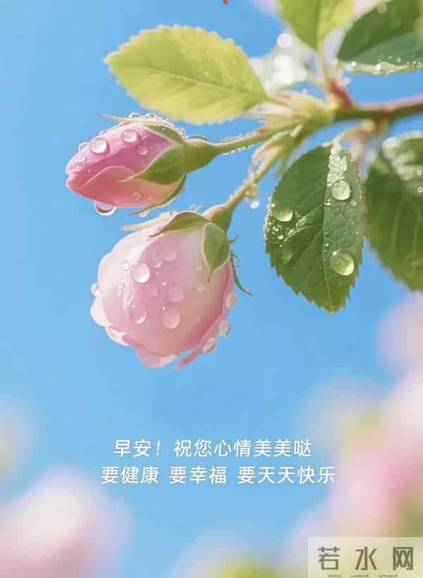 2025年11月30日，星期日，农历十月十一，早安吉祥祝福语！