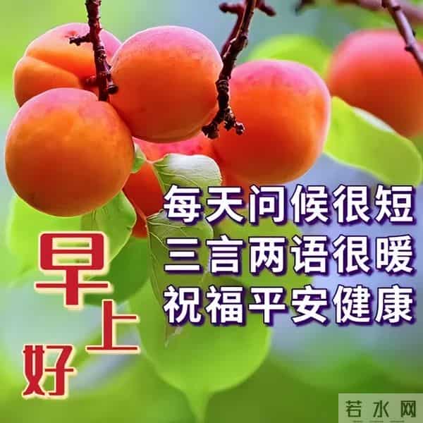 最新早安开心快乐短句子，经典正能量早上好句子，吉祥如意