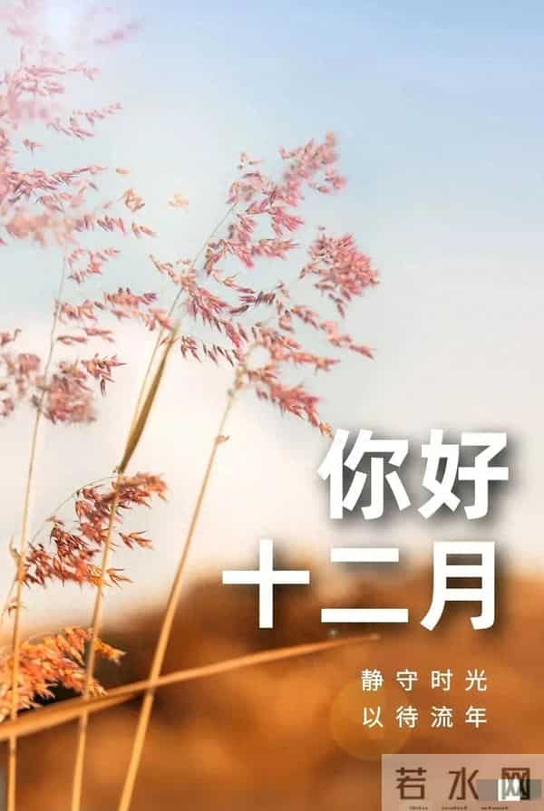 2025年12月1日早上好 ！早安精美图片 ， 周一快乐 早安吉祥！