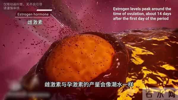 女人绝经了，才发现这一生来之不易