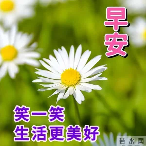 最新早安开心快乐短句子，经典正能量早上好句子，吉祥如意