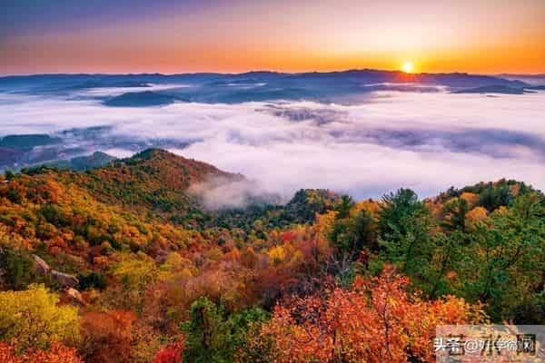 老了才发现，儿子儿媳讨厌你时，最聪明的活法就一个字：让