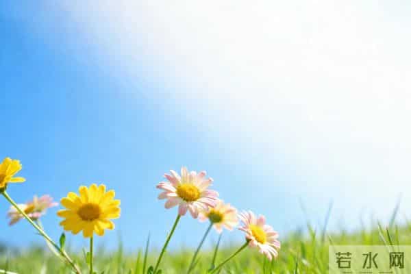 人最好的活法：烦心事，少想；别人事，少管