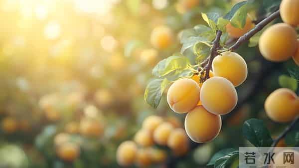 我工资15000全给母亲,老婆月薪8500却天天下馆子，我在家饿到发火