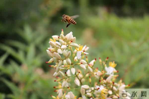 这三种女人男人舍不得失去