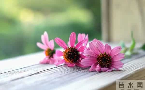 真正有远见的父母，会告诉女儿：不管嫁给谁，都要守住这三张底牌