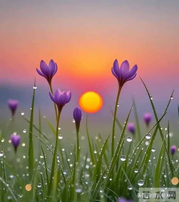 女人爱到憋不住，才会说这3句话（男人别傻听不懂）