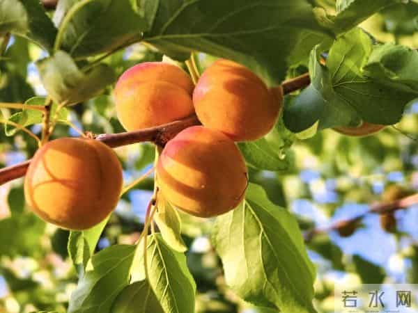 我工资15000全给母亲,老婆月薪8500却天天下馆子，我在家饿到发火