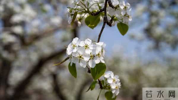 我哥借30万给侄子买房，我让他打借条签合约，母亲说我不孝没亲情