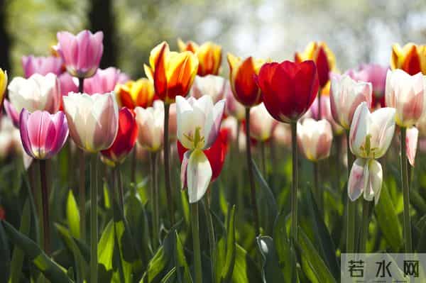 女人被你征服后，不会主动告白，但会这样做