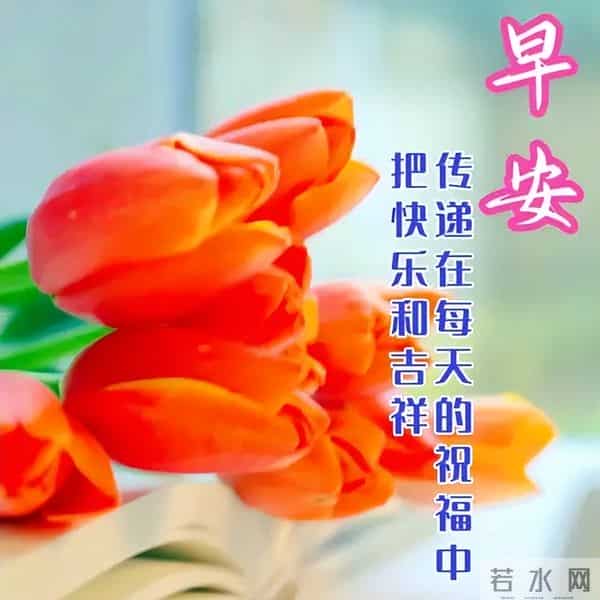 11月30日早安高质量文案，温暖早上好问候祝福，愿健康常伴