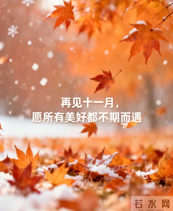 10句温馨祝福，告别过往，迎接新光，11月再见，12月你好，