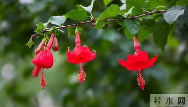 人老了最大的悲哀不是病，不是死，而是家里只剩一个人孤独的活着