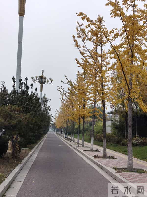 我的婚姻故事（40）