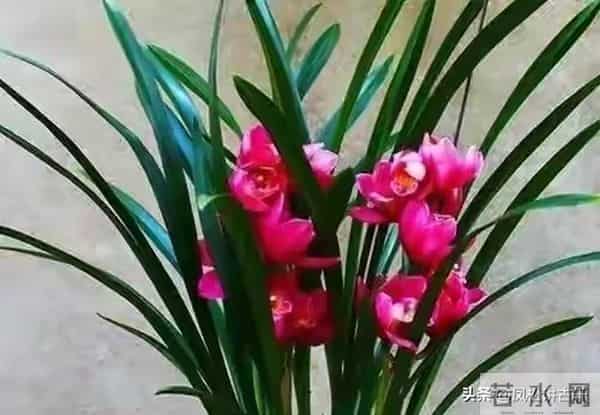 女人主动“勾”男人时，常会说这2句话，男人别听不懂