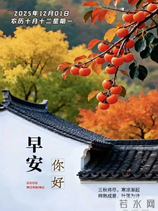 十二月你好 周一早安 12月1日温馨祝福 早安精美美图 愿平安喜乐