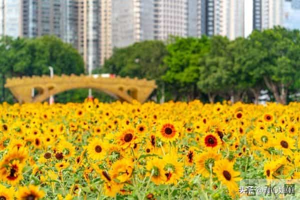 新型第三者，正悄悄破坏我们的婚姻！很多人还浑然不觉
