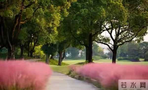 告诉你一个残酷的真相，父母存的钱，其实存的是孩子的选择权！